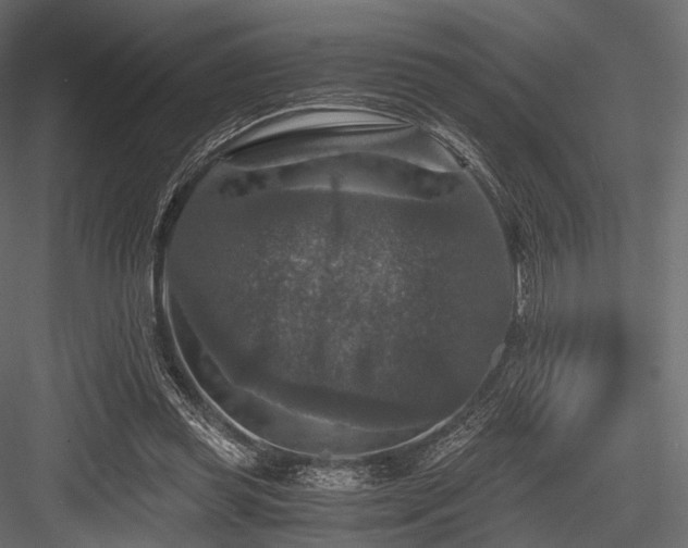 X0000084570349200702231305