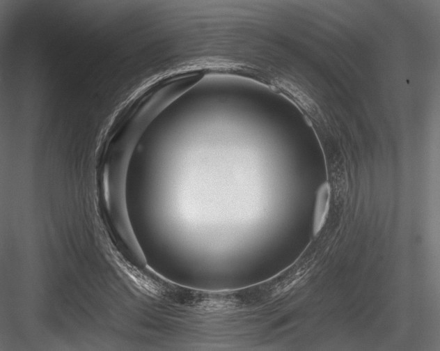 X0000084570350200702231305