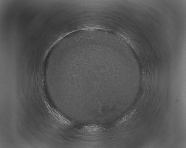 X0000084570351200702231305