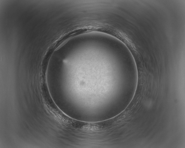 X0000084570354200702231305