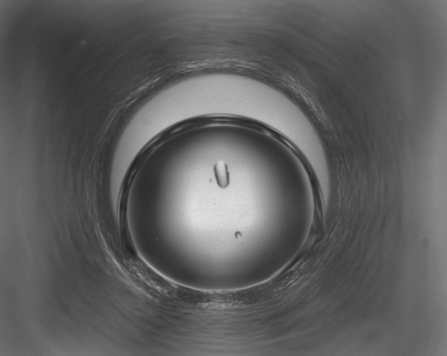 X0000084570356200702231305