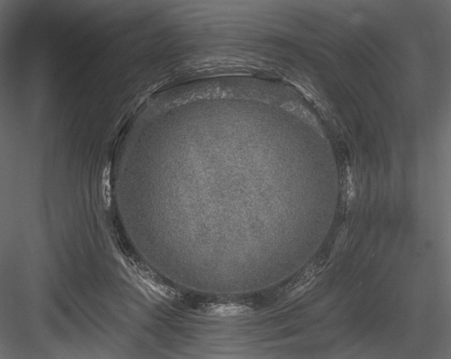 X0000084570360200702231305