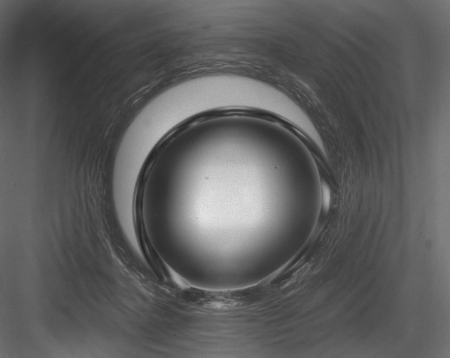 X0000084570364200702231305