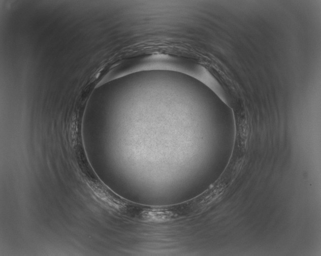 X0000084570372200702231305
