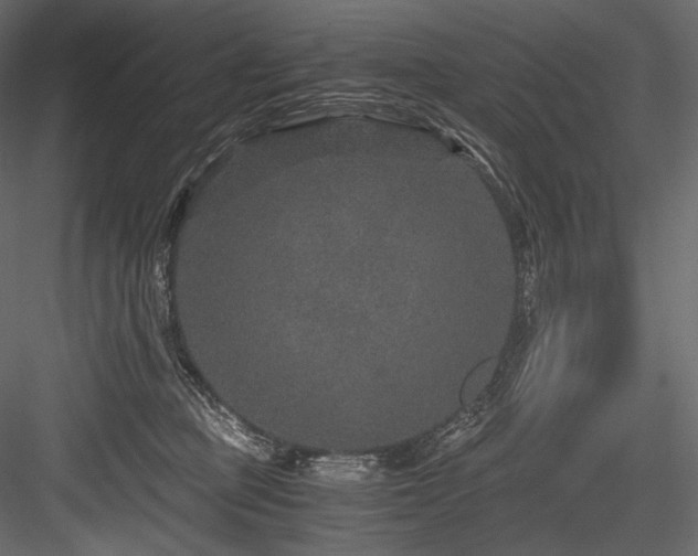 X0000084570373200702231305