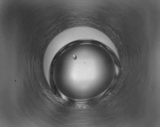 X0000084570376200702231306