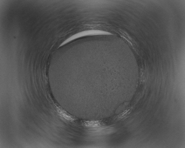 X0000084570377200702231306
