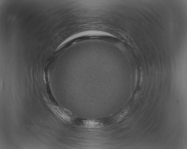 X0000084570380200702231306