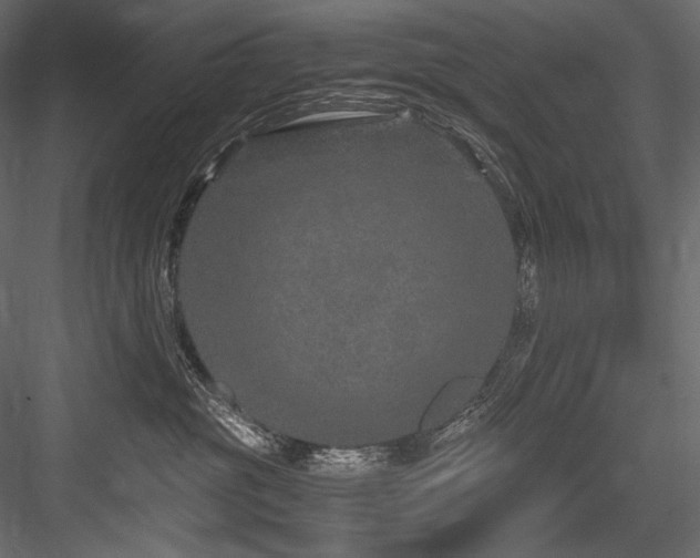X0000084570381200702231306