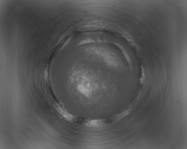 X0000084570382200702231306