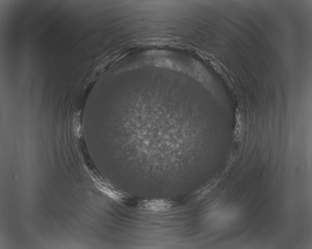 X0000084570383200702231306
