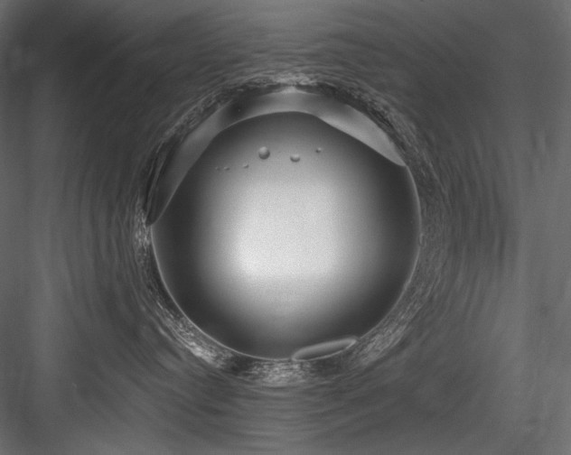 X0000084570384200702231306