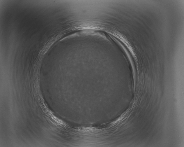 X0000084570385200702231305