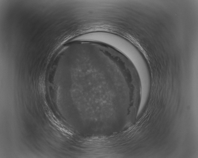 X0000084570386200702231305