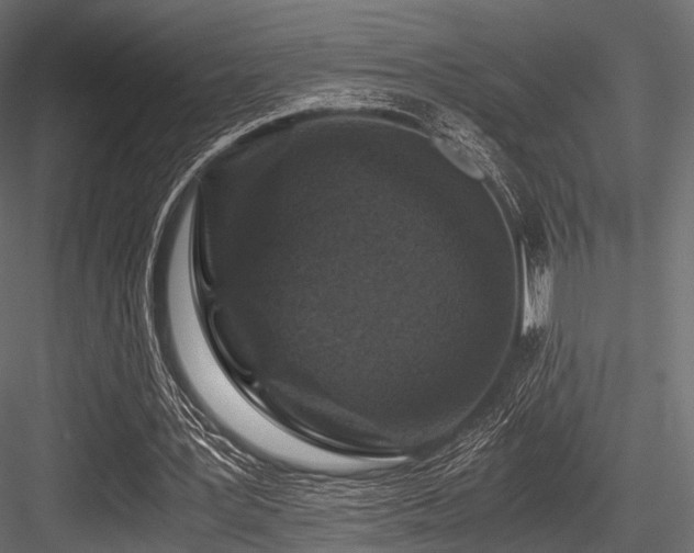 X0000084570387200702231305