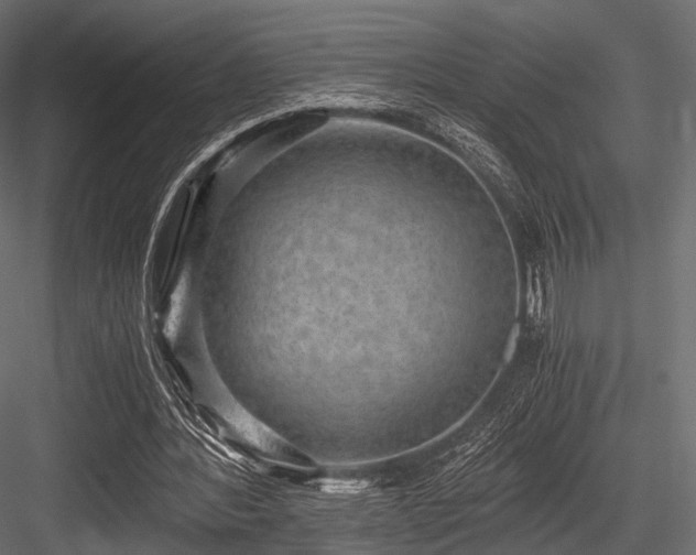 X0000084570388200702231305