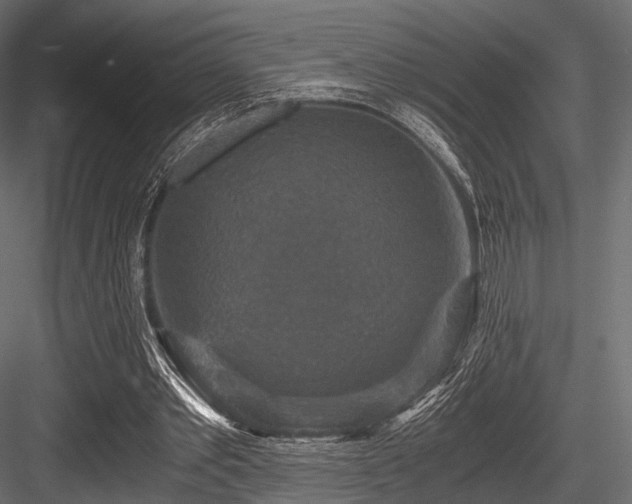 X0000084570389200702231305