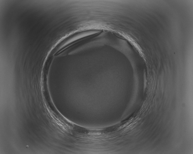 X0000084570391200702231305