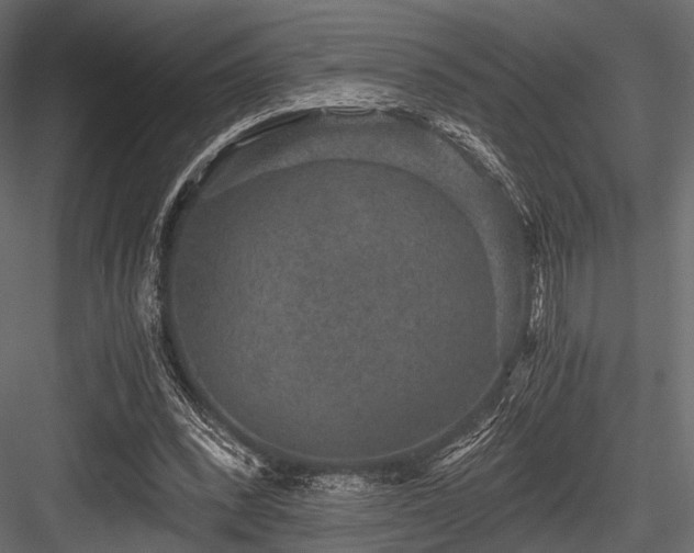 X0000084570392200702231305