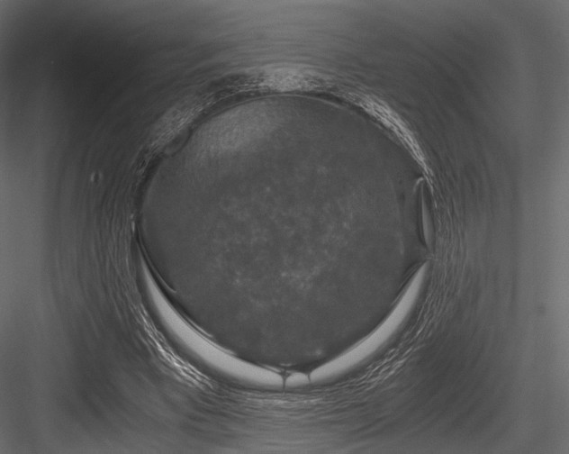 X0000084570393200702231305