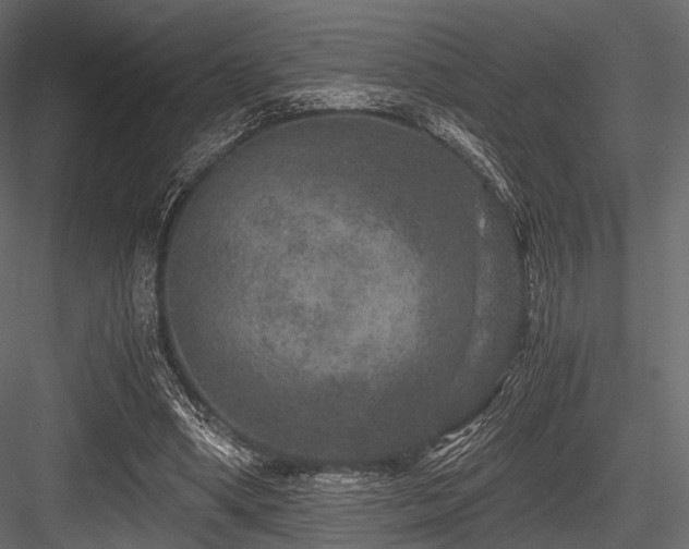 X0000084570394200702231305