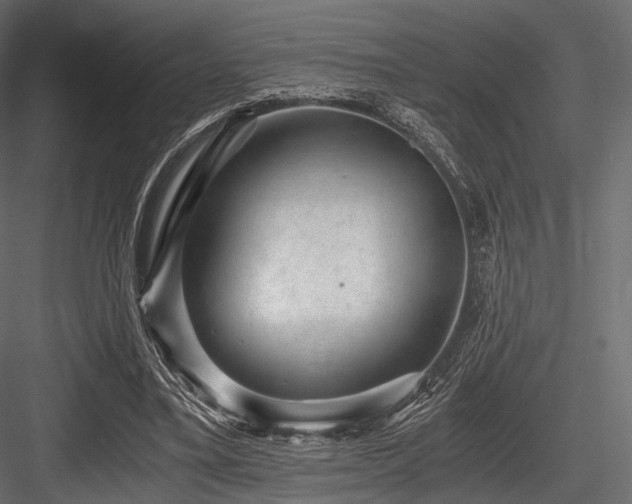 X0000084570395200702231305