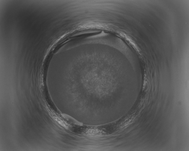 X0000084570399200702231305