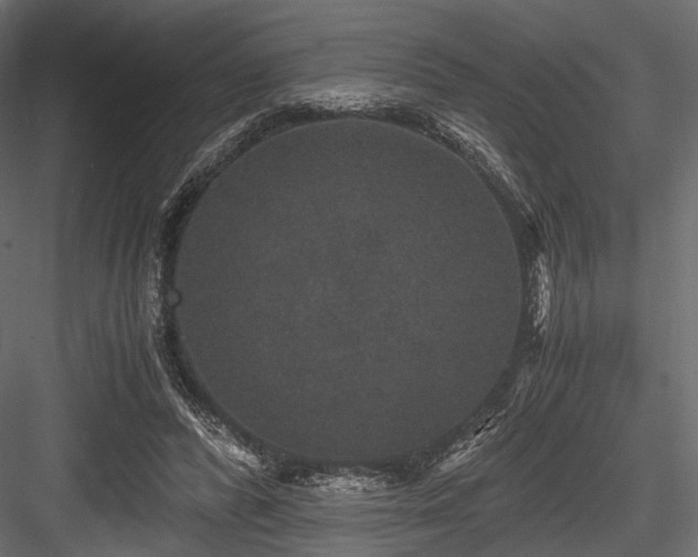X0000084570400200702231305
