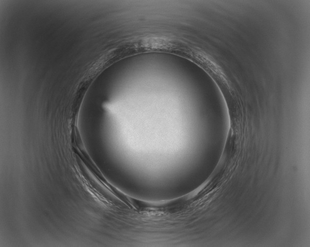 X0000084570401200702231305