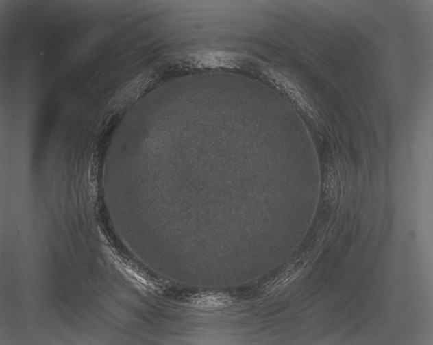 X0000084570402200702231305