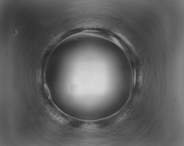 X0000084570403200702231305