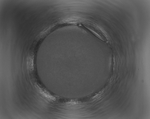 X0000084570404200702231304