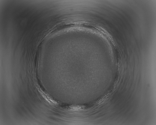 X0000084570405200702231304