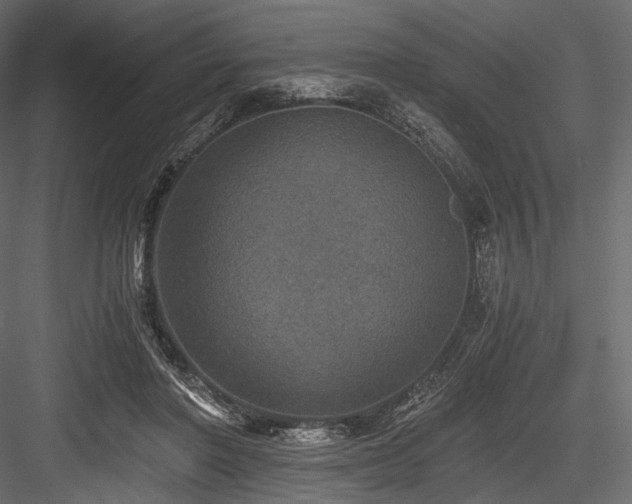 X0000084570406200702231304