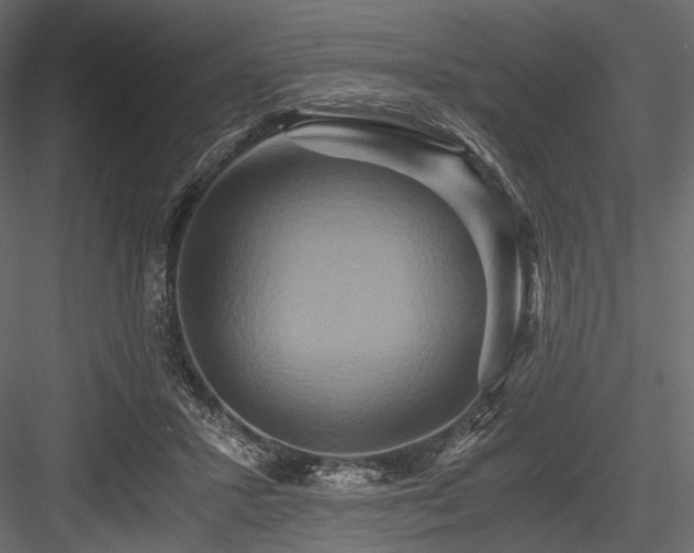 X0000084570407200702231304