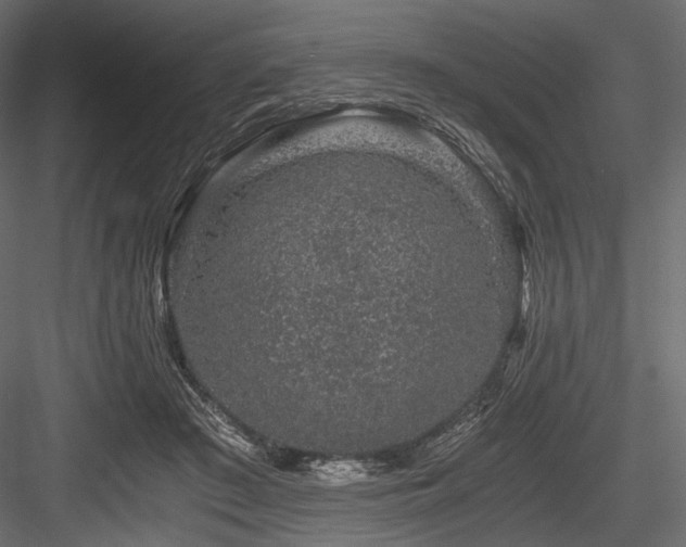 X0000084570409200702231304
