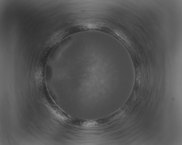X0000084570410200702231304