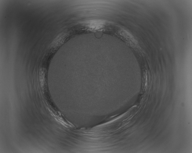 X0000084570412200702231304