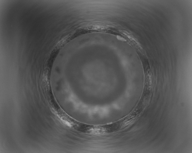 X0000084570415200702231304