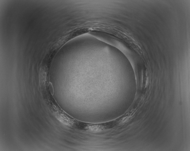 X0000084570417200702231304