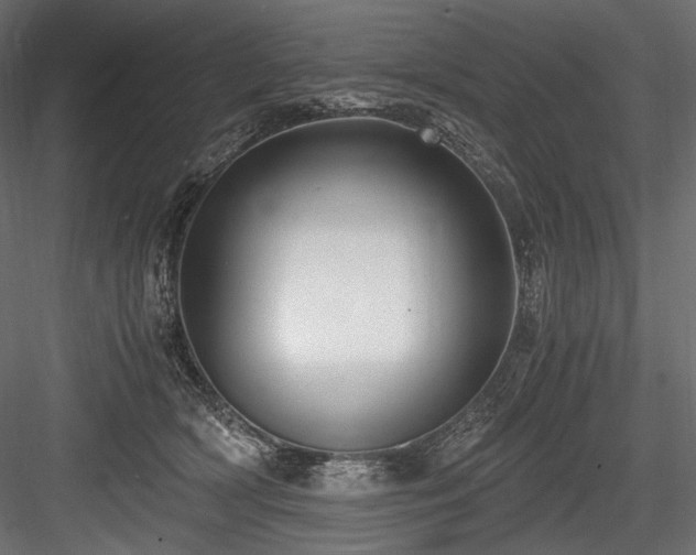 X0000084570418200702231304