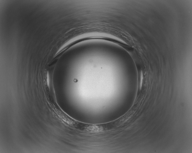 X0000084570421200702231304