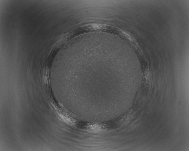 X0000084570423200702231304