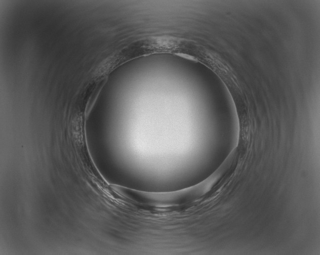 X0000084570425200702231304