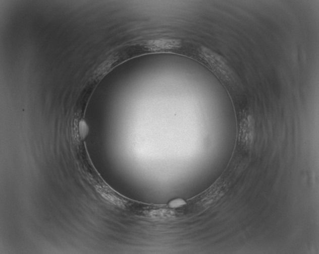 X0000084570426200702231304