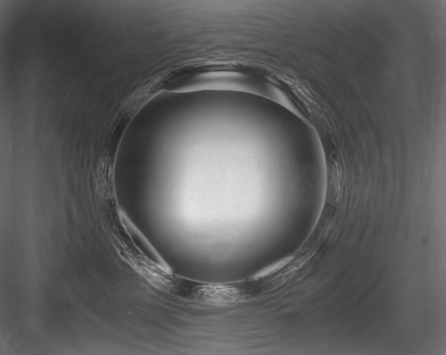 X0000084570429200702231304