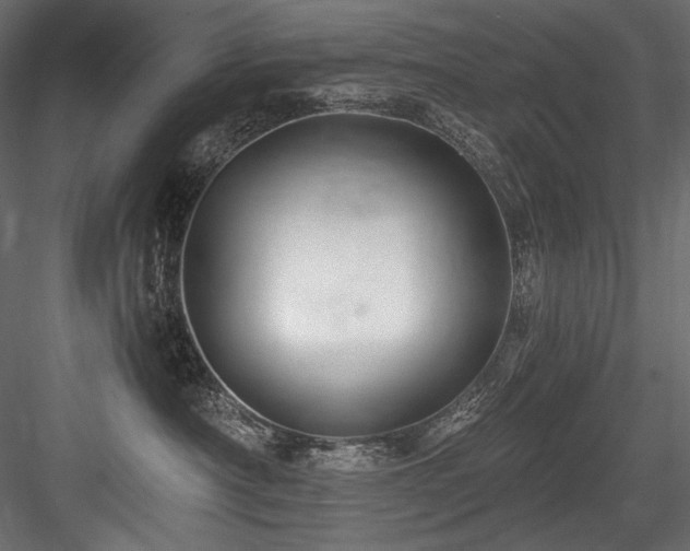 X0000084570430200702231304