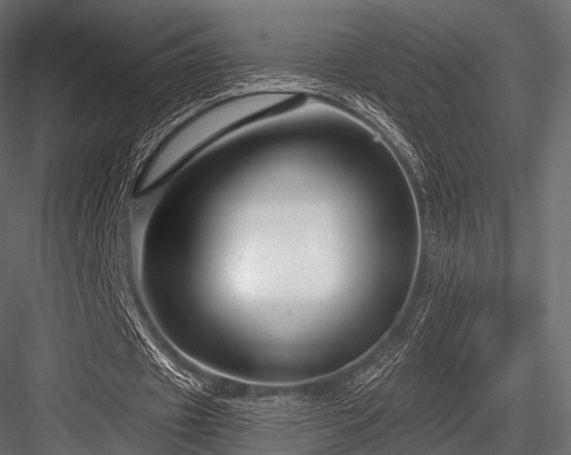 X0000084570433200702231303