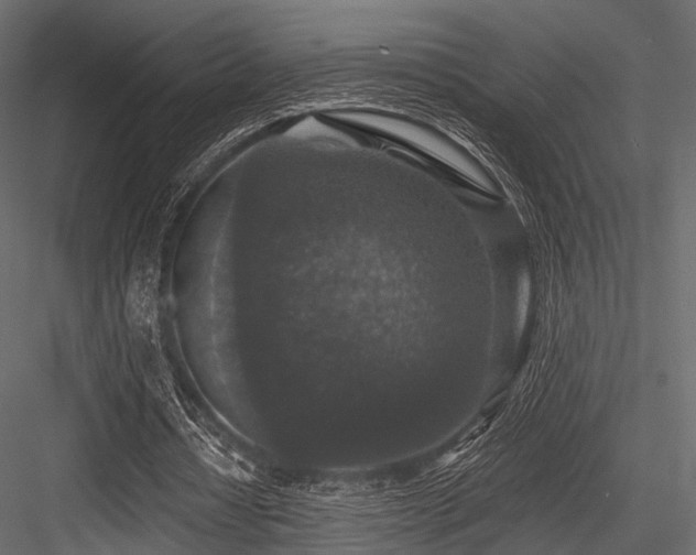 X0000084570434200702231303