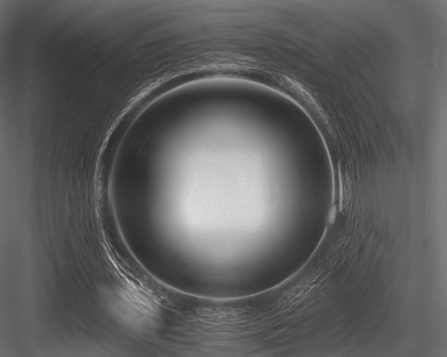 X0000084570435200702231303
